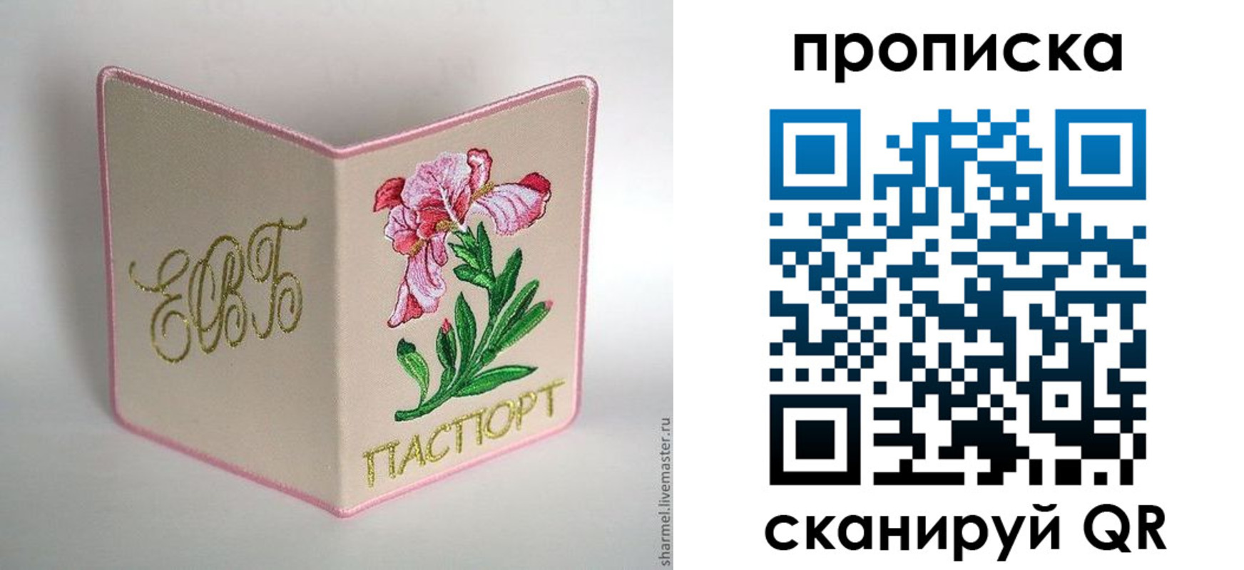 прописка для школы в Долгопрудном